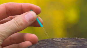 A needle in a pet, giving pet acupuncture services in Wauwatosa, WI